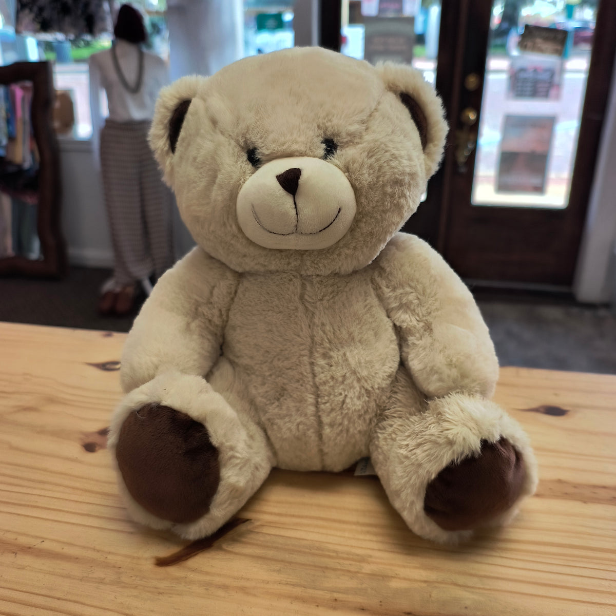P)Teddy 10/29/26