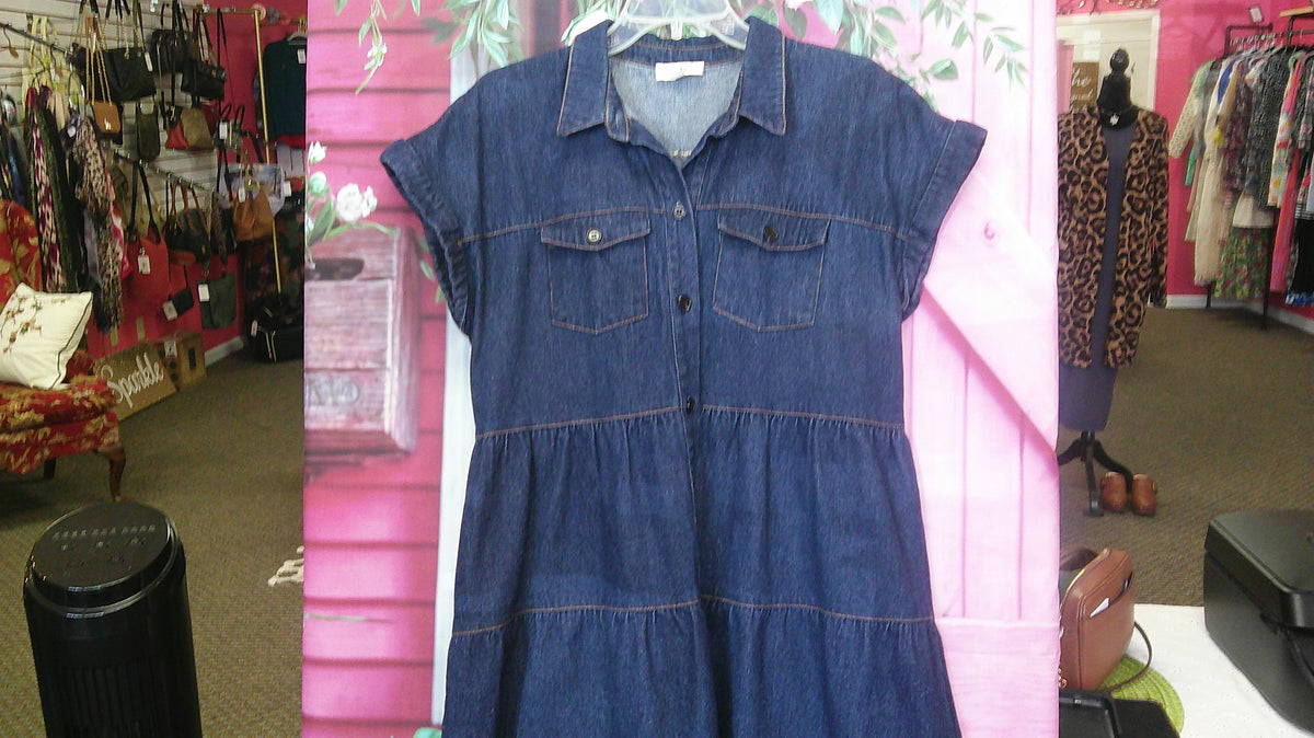 (D) UMGEE Jean Dress M 9/18/26