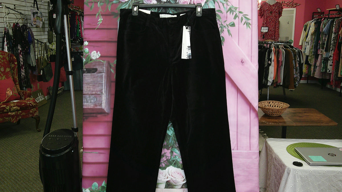 (P) Jones New York Black Velvet Pants 16 10/24/26