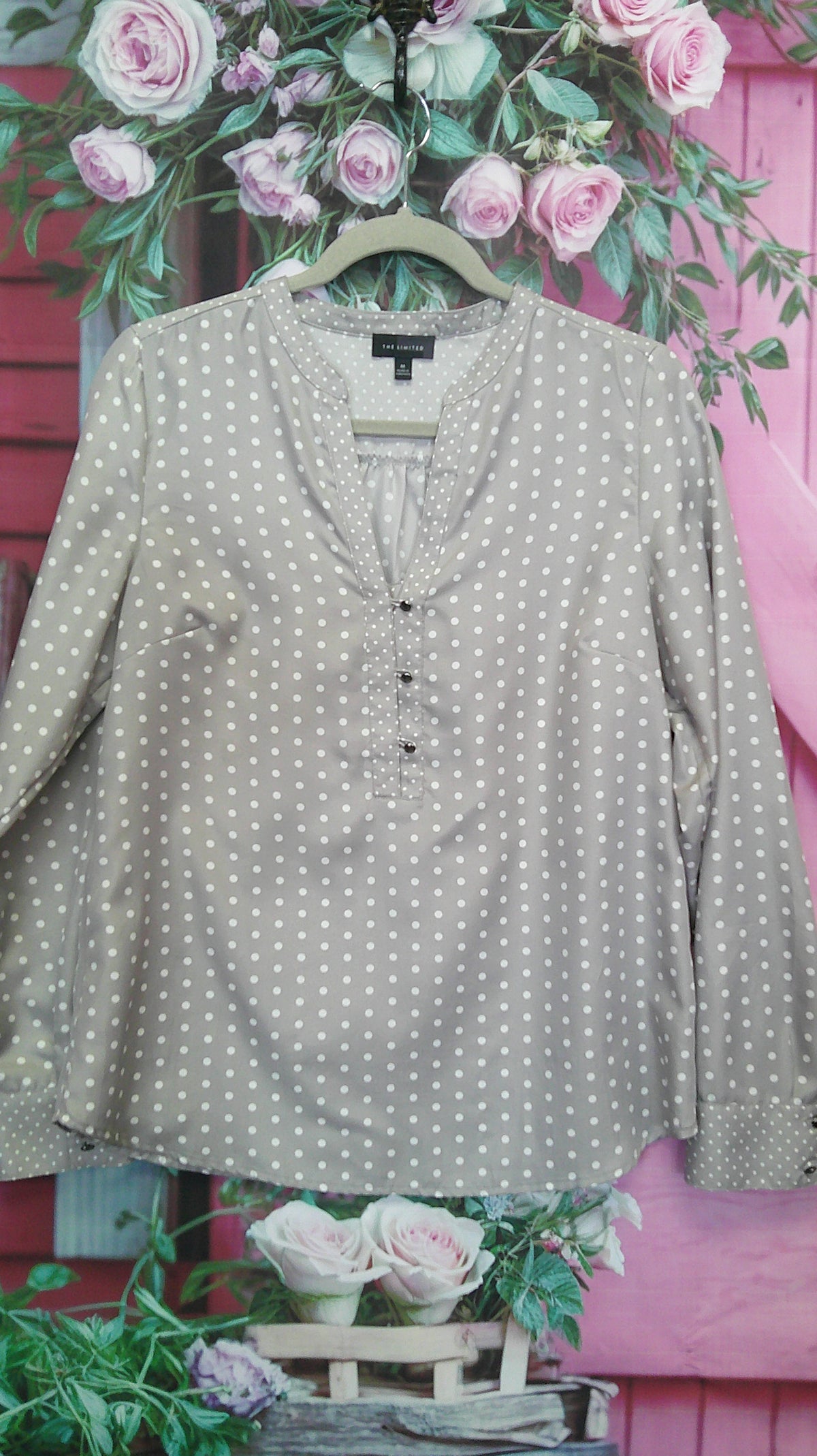 (D) The Limited M grey shirt 10/08/26