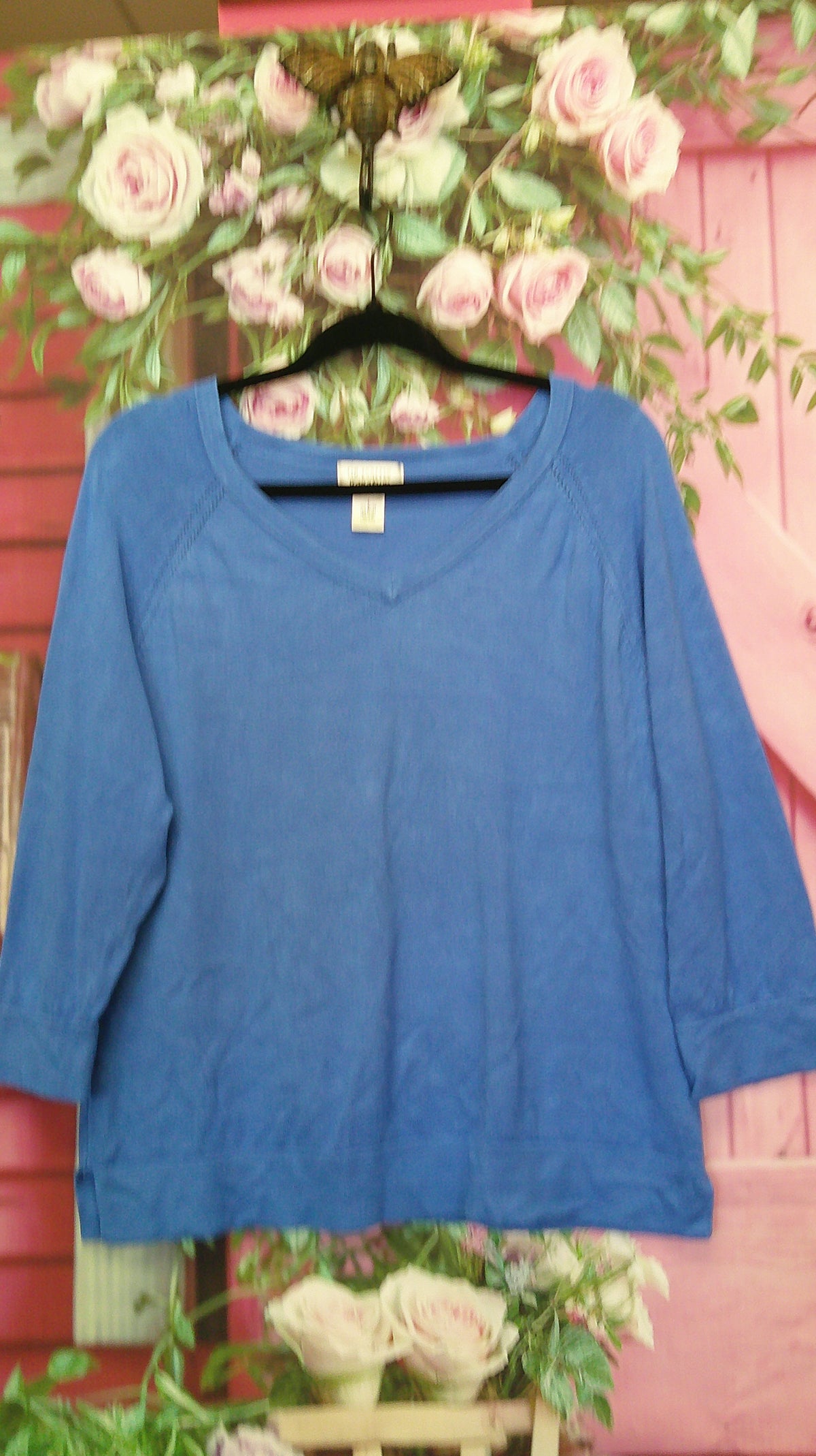 (P) Kim Rogers Blue V Neck L 9/18/26