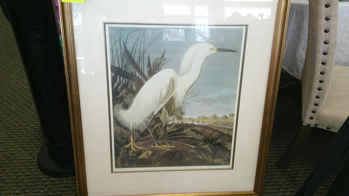 (D) Large Heron Picture 10/23/26