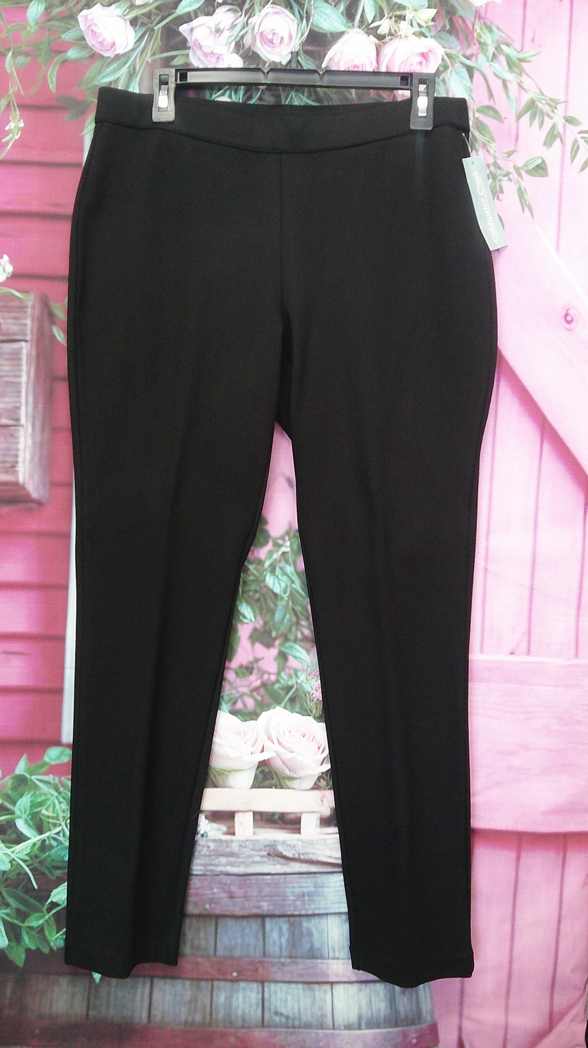 (D) Coldwater Creek M Pants 9/24/26