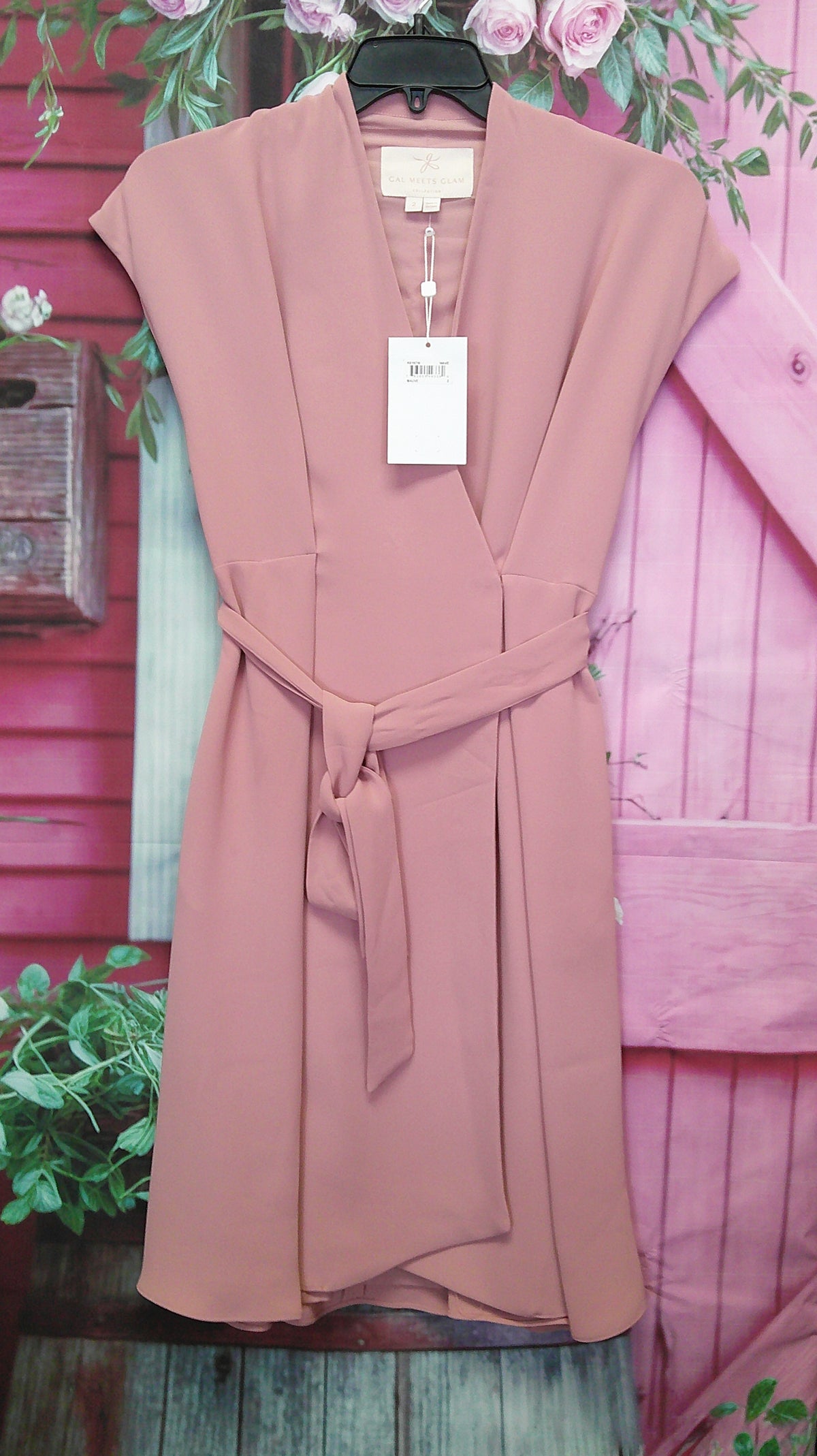 (D) Gal Meets Glam blush 2 dress 9/10/26