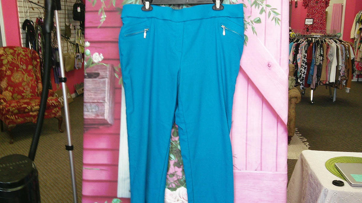 (D) Jewels & Leopold Teal Pant XL  10/14/26