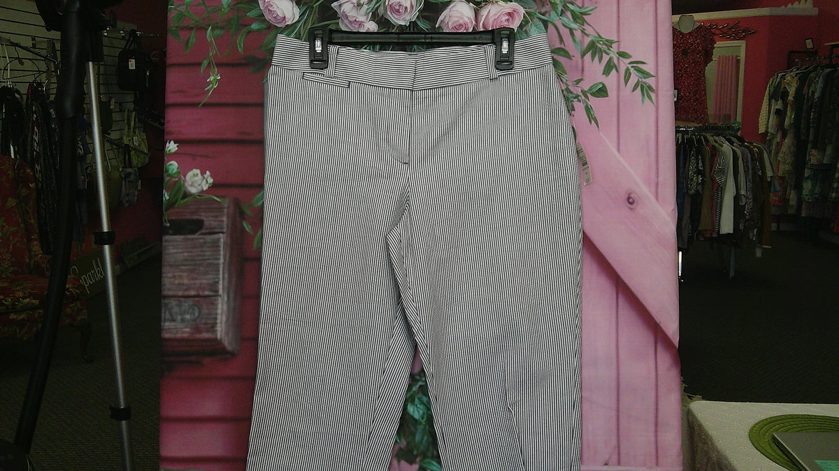(P) Talbots Striped Capri 10P  10/14/26