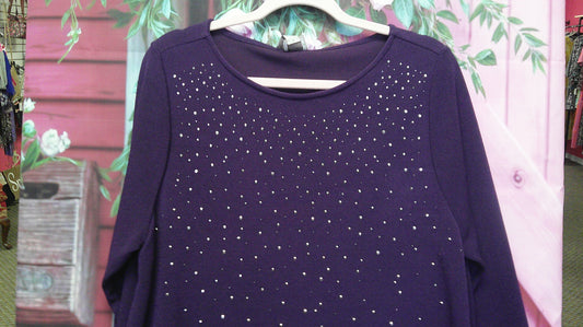 (D) Chico Easywear Navy Top L 10/2/26