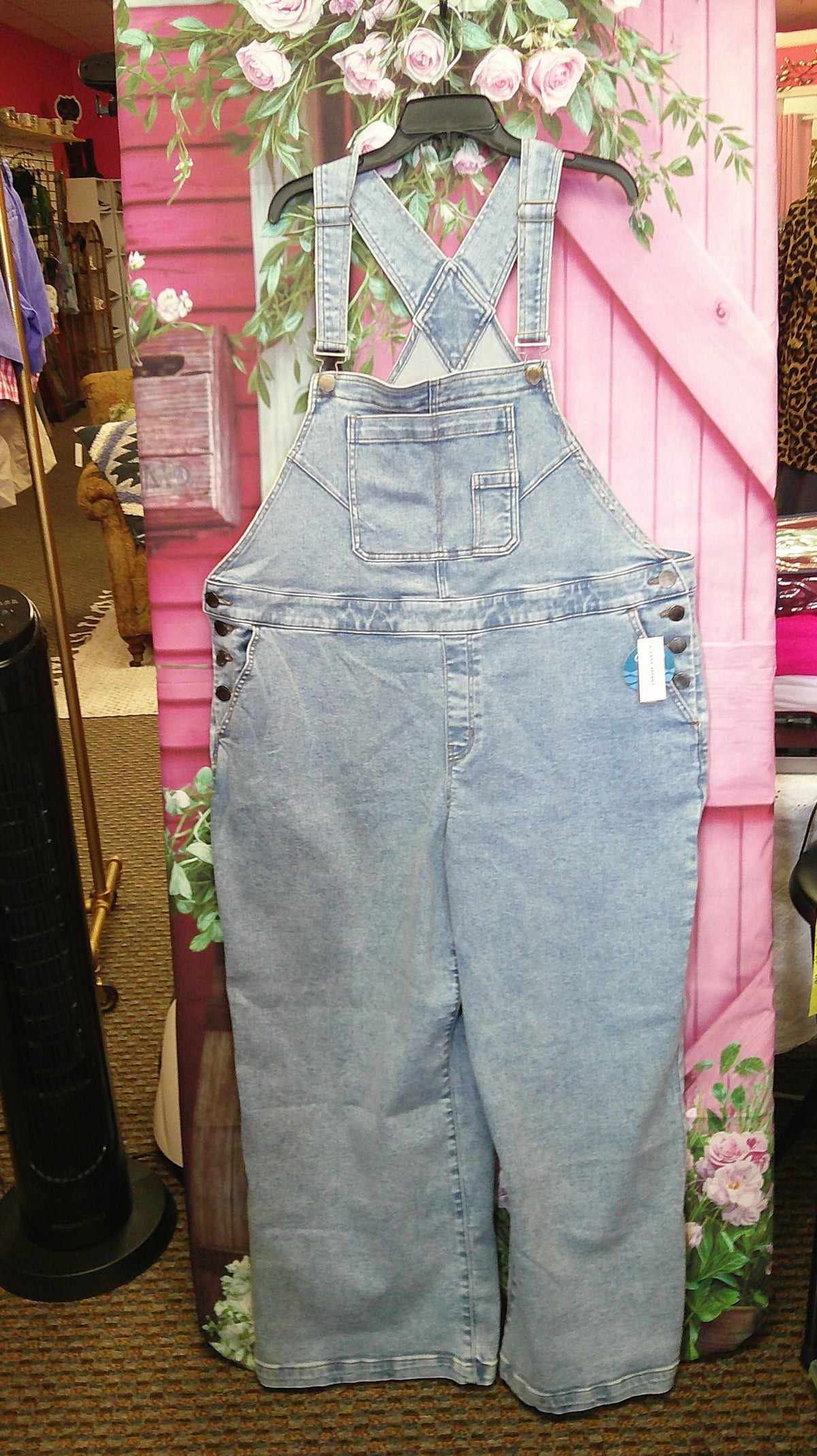 (P)Lane Bryant overalls 3X 9/17/26