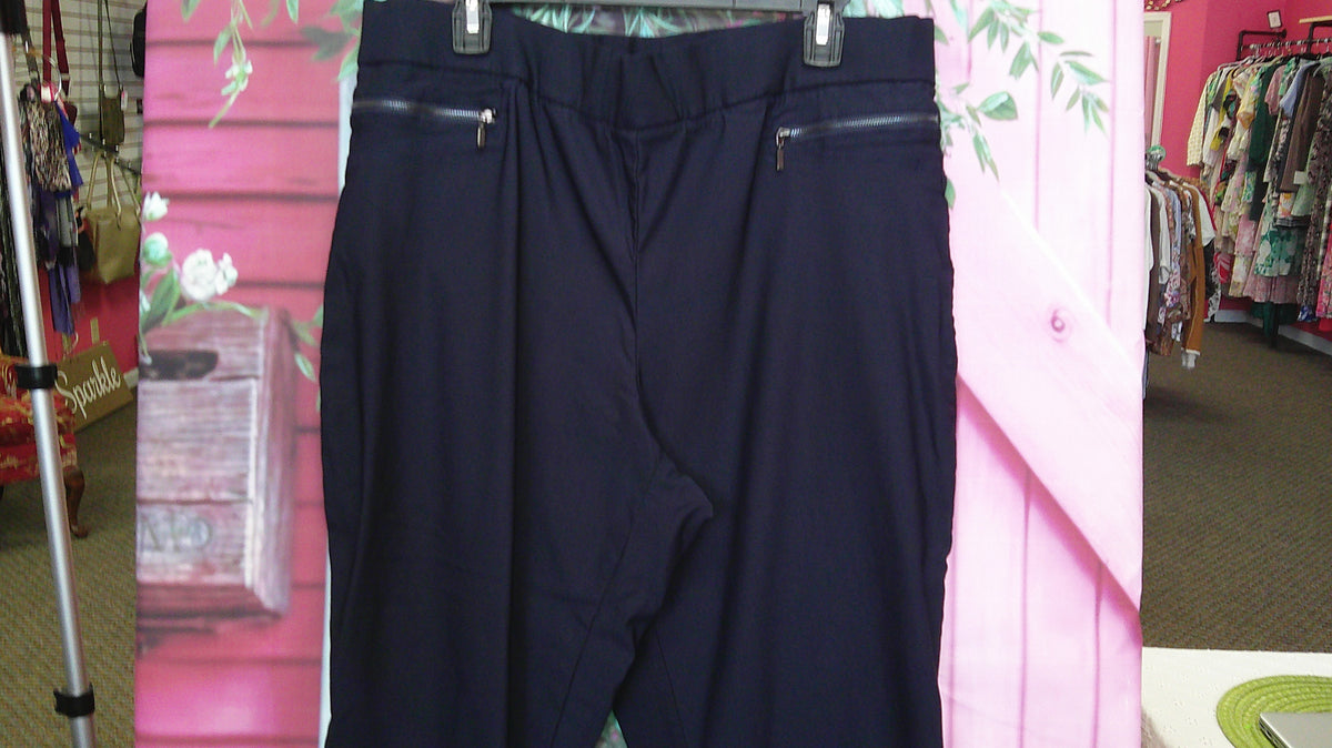 (D) Dalia Navy Pant 16W  10/14/26