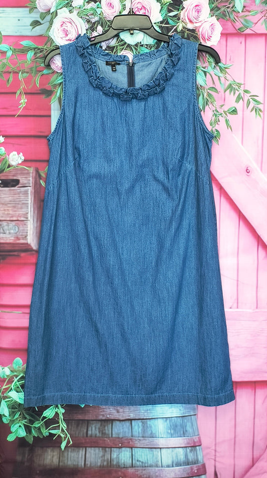 Talbots Denim dress 14W 6/26/26