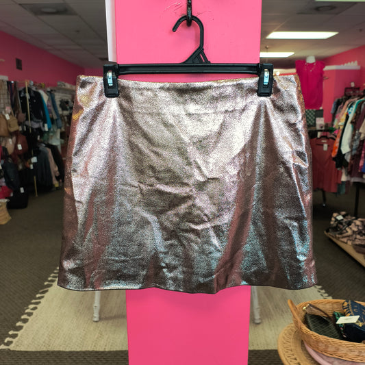 Forever 21 skirt L 6/5/26
