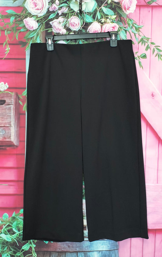 Loft black capri pants LP 7/3/26