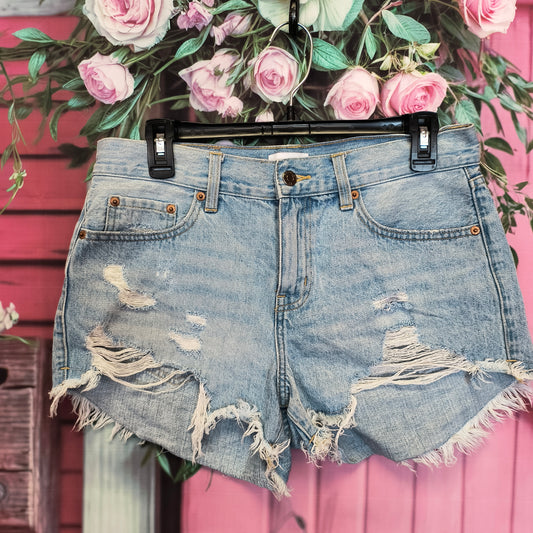 Pistola Denim shorts 27 7/23/26