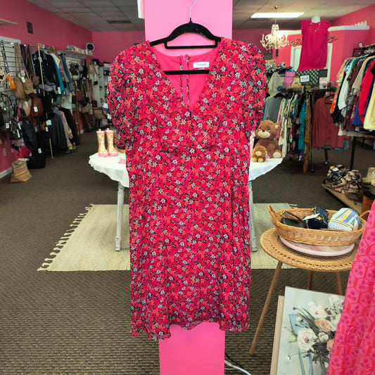 Calvin Klein dress 14 6/5/26