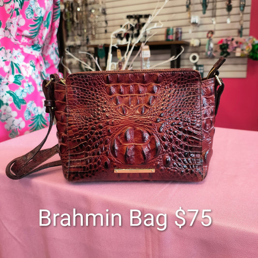Brahmin bag 5/22/26