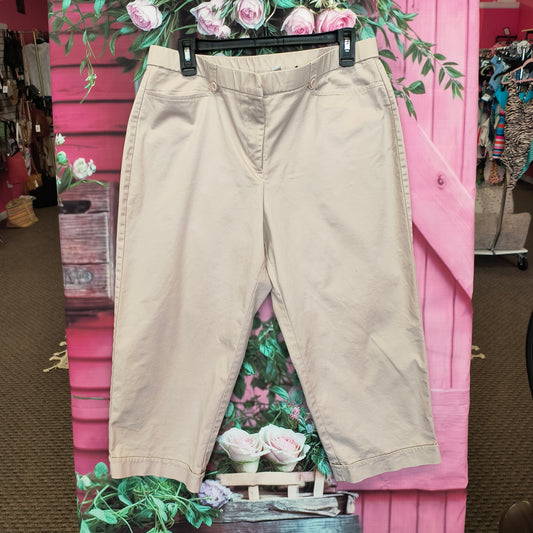 Kim Rogers Capri pants 14 7/8/26